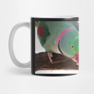 Rose-ringed Parakeet Mug